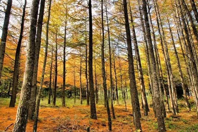 合适周末打卡的旅游胜地,周末旅游打卡圣地