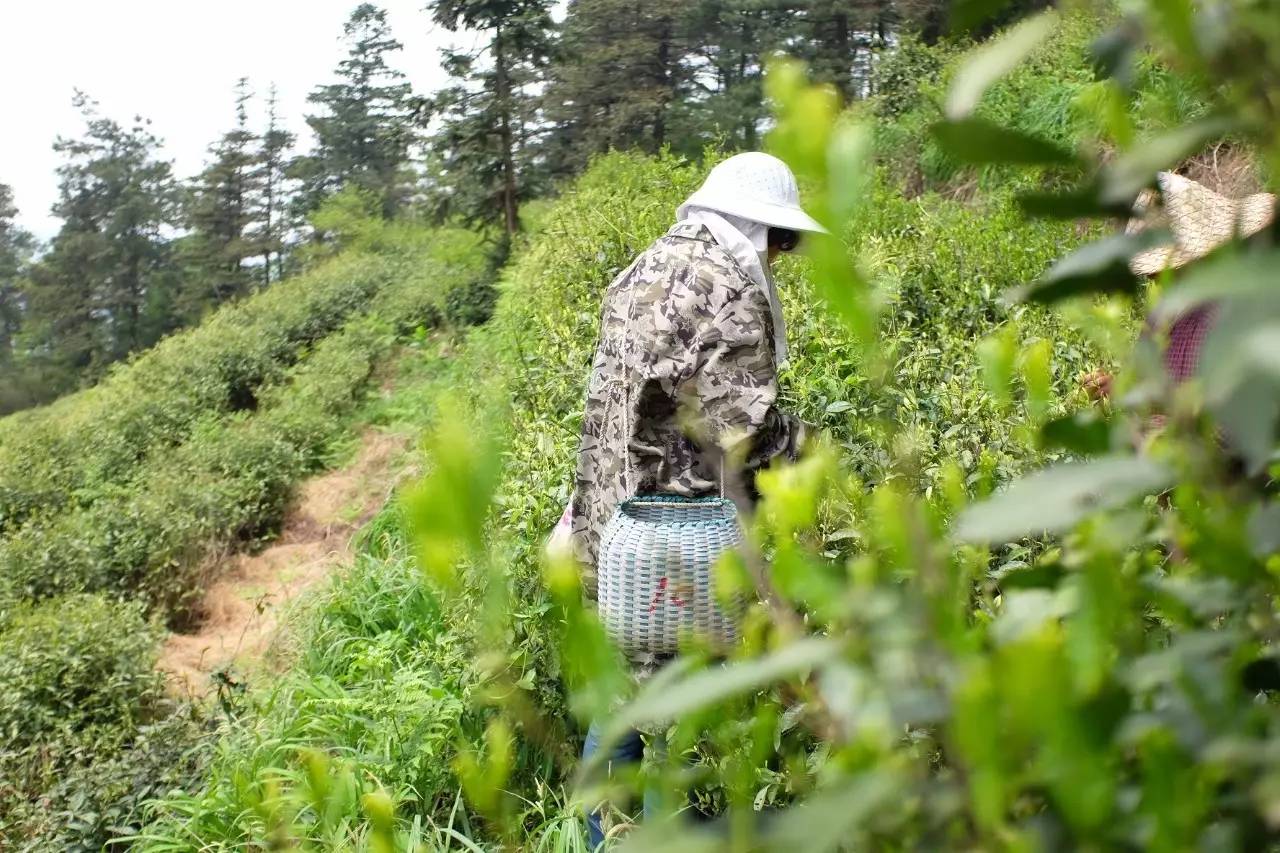 母亲节怎么送礼物给妈妈,母亲节到了你给你妈妈买什么