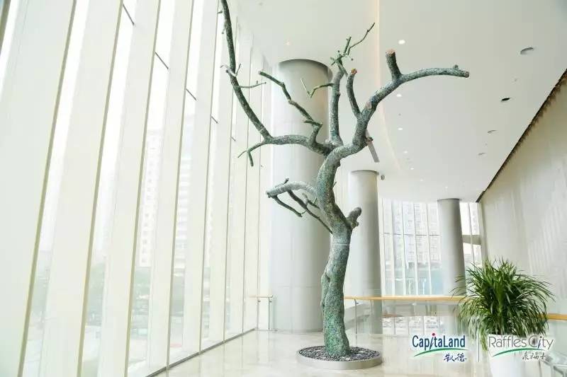 高档写字楼上班体验,高端写字楼工作体验