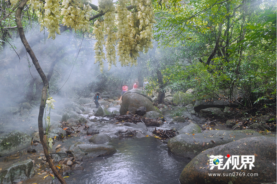 中国最美小镇惠州清溪,清溪最美小镇旅游景点