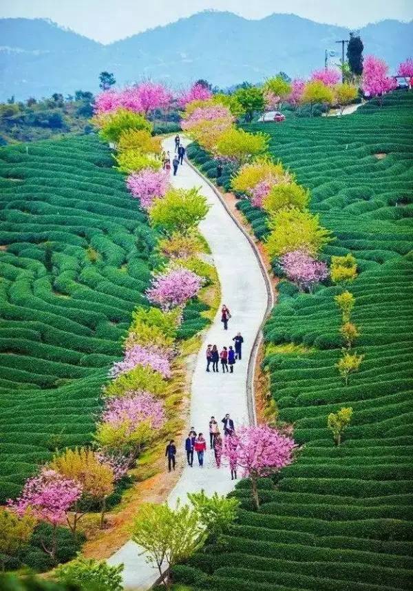 一条让你美到“质疑人生”的微信！