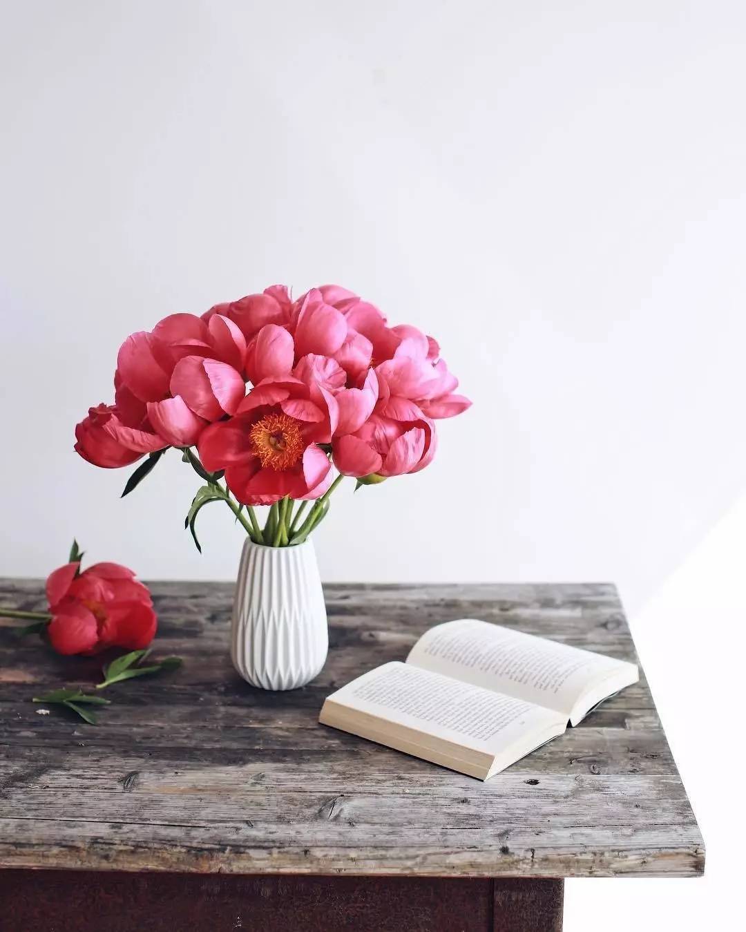 除了康乃馨还能够送母亲什么花,母亲节合适送妈妈的花康乃馨