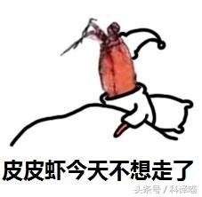 胆小的别进！青岛的海虫子，能够入药能够吃，鲍鱼也在内！