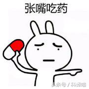 胆小的别进！青岛的海虫子，能够入药能够吃，鲍鱼也在内！