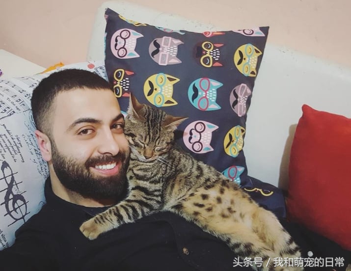 原来猫真的会弹钢琴,史上会弹钢琴的猫咪