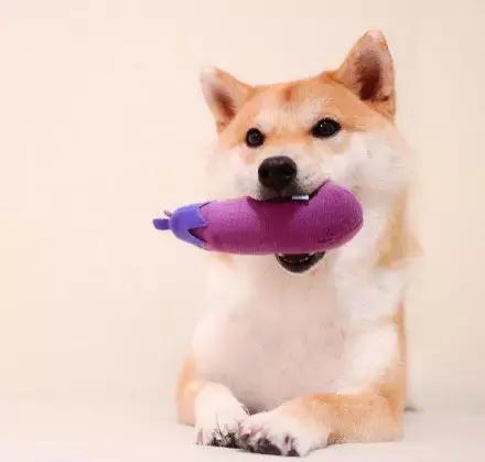 这就是别人家的员工餐视频,这就是别人家的爸爸原版视频