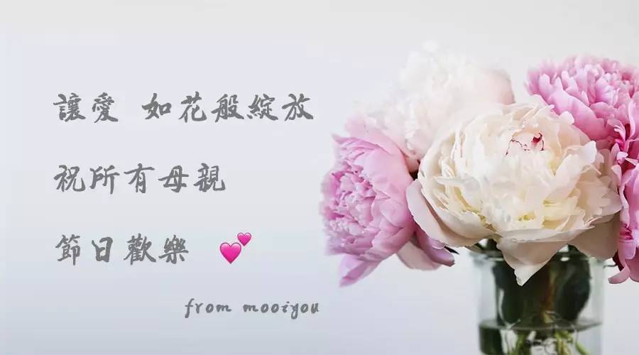 除了康乃馨还能够送母亲什么花,母亲节合适送妈妈的花康乃馨