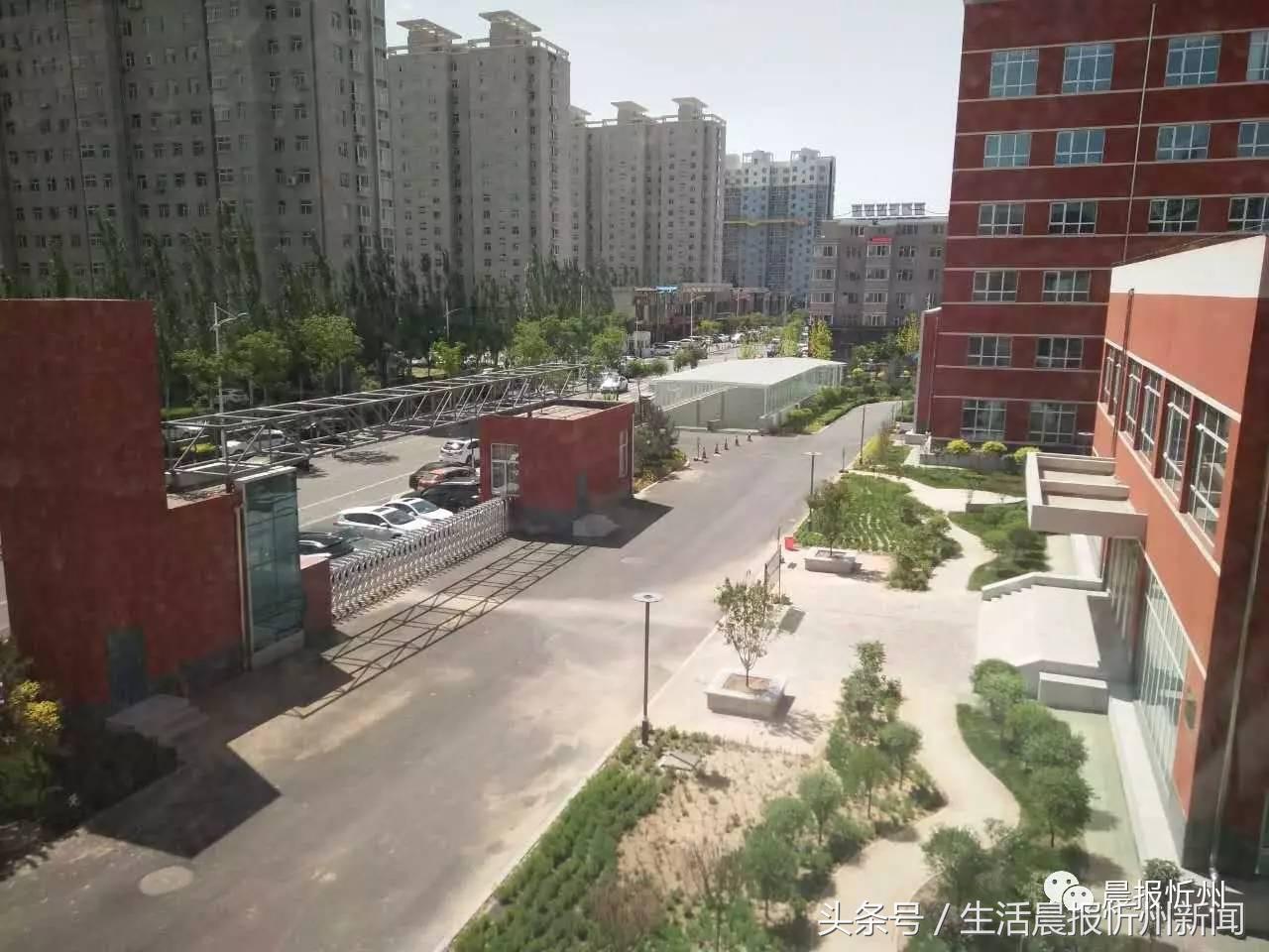 忻州长征路小学的环境,忻州长征路小学好吗