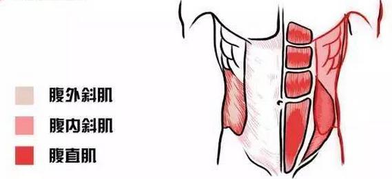 只做锤式卷腹能够练马甲线吗,只做卷腹能够练马甲线吗
