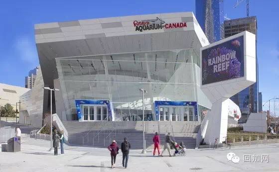 一个人玩儿一下午的地方,一个人玩一天的城市