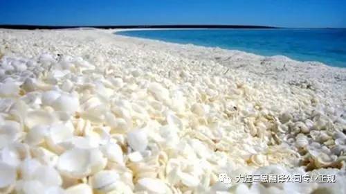 母亲节妈妈快乐的源泉,母亲节快乐母爱是一种力量