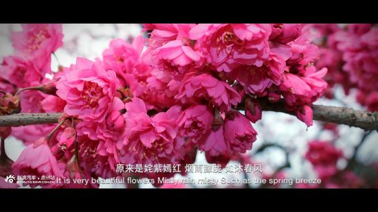 驶向春天歌曲原唱,奥迪a5敞篷版国内上市