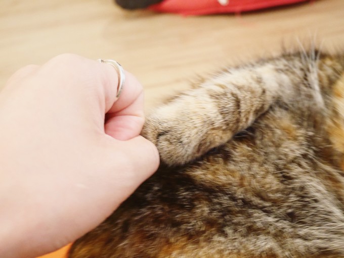 三天吃遍曼谷精选美食（给第一次去曼谷的你）