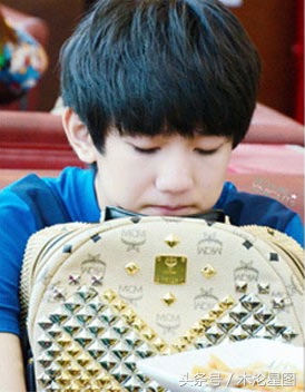 德国mcm是什么牌子,德国品牌mcm