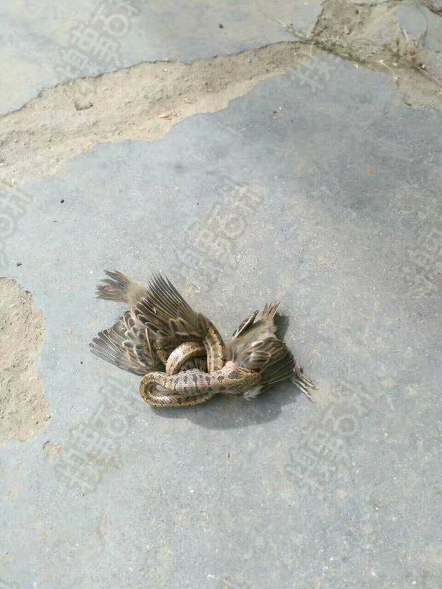 十条笑话：要是你结婚，妈不仅不堵门，不要红包，还会送新郎红包