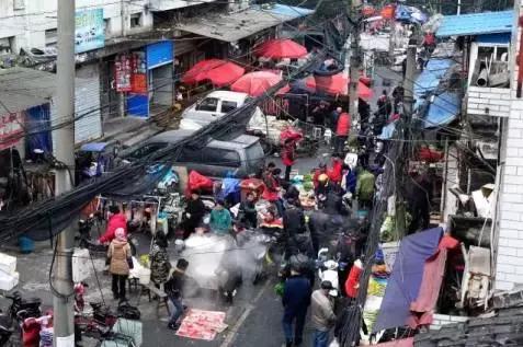 杭州为什么能够大规模拍地,杭州大规模拍地