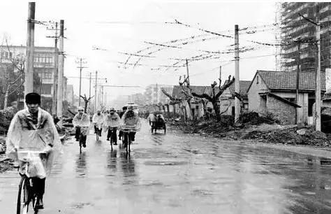 杭州为什么能够大规模拍地,杭州大规模拍地