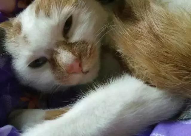 “深夜的地铁上，不只我一个人”|89条城市青年安全指南