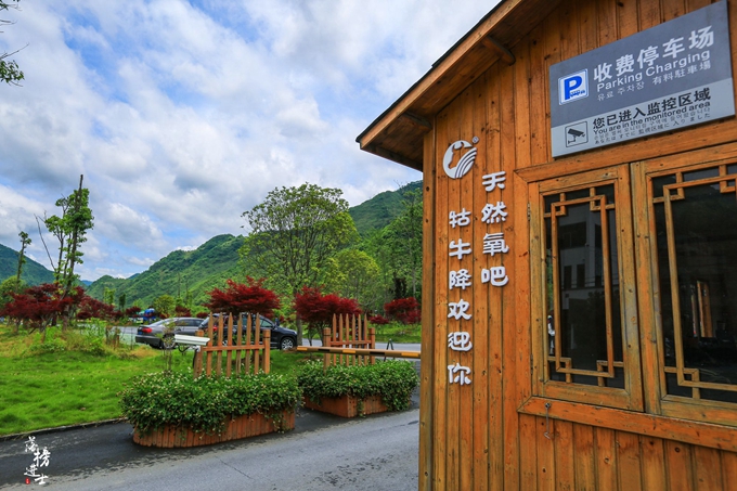 哪儿有原始森林拍照的景区,冬天合适拍照的原始森林