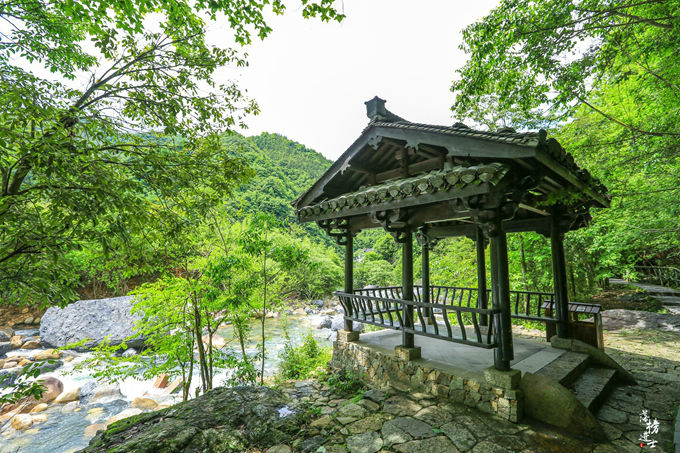 哪儿有原始森林拍照的景区,冬天合适拍照的原始森林