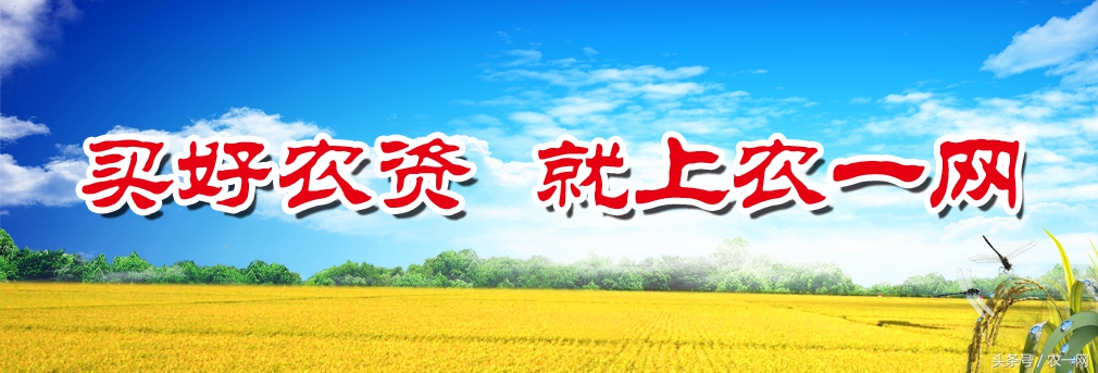 植保行家魏明：一堂讲课引发的一次远行