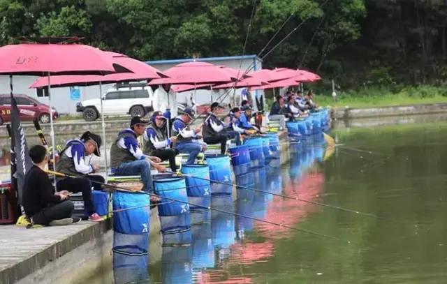 行营慈利X11战队，掐鱼比赛火爆上演