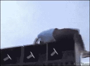 真人女朋友也会漏气！大家快来看！不知谁的女朋友漏气了！