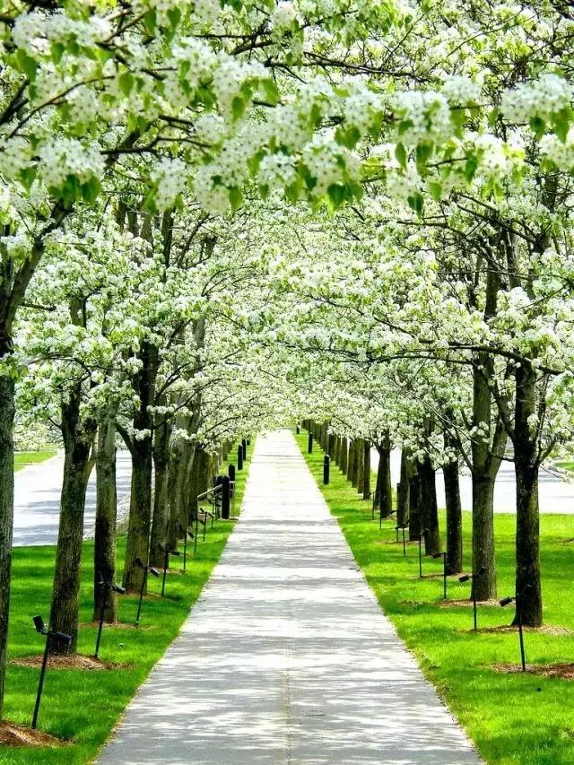 澶╂触婊ㄦ捣娌欓洉娴锋磱涔愬洯,澶╂触娴锋磱涔愬洯娌欓洉