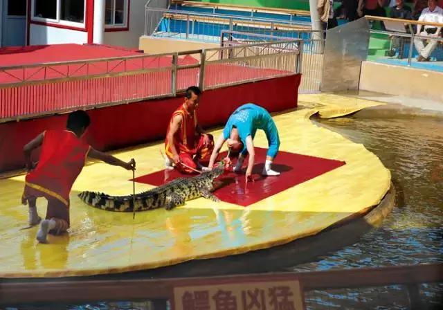 澶╂触婊ㄦ捣娌欓洉娴锋磱涔愬洯,澶╂触娴锋磱涔愬洯娌欓洉