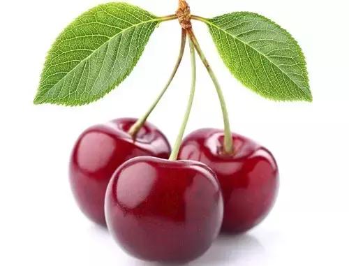 樱桃果中珍品,樱桃果又大又甜