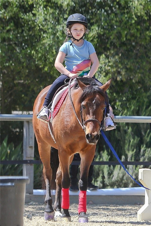 论“重女轻男”我只服贝克汉姆，看他家的三个儿子都成了摆！设！