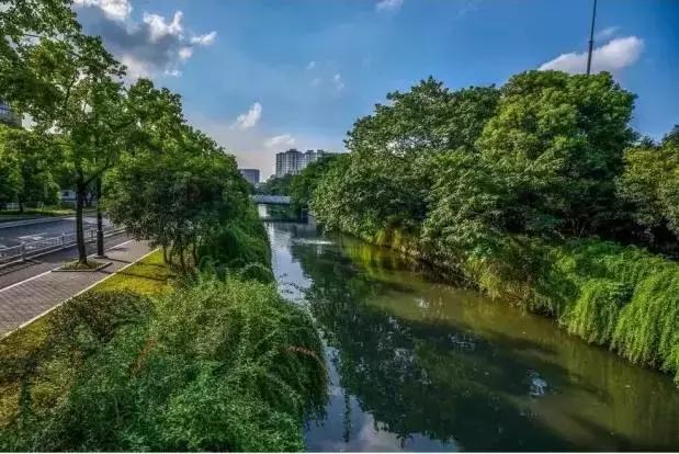 杭州为什么能够大规模拍地,杭州大规模拍地