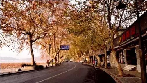 杭州为什么能够大规模拍地,杭州大规模拍地