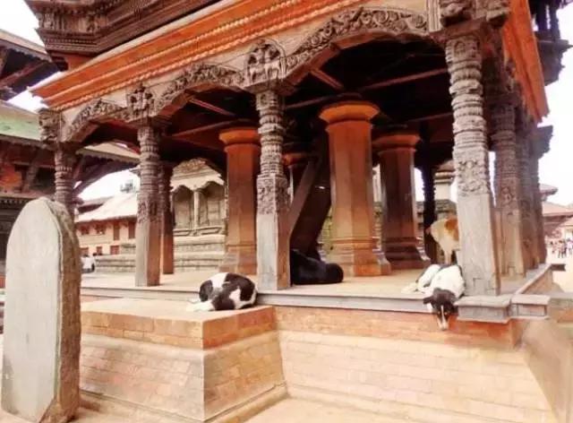 佛教圣地五台山能够随便旅游吗,佛教圣地五台山旅游攻略