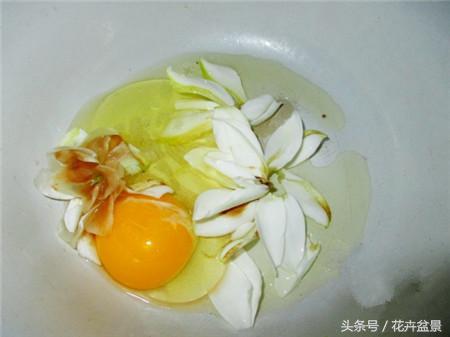 嘴馋了，摘盆花儿来尝尝，第一盆花卉佳肴就闻所未闻