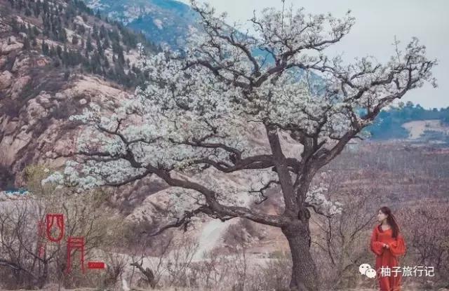 天津蓟县精品旅游,天津蓟县五盆沟景区好爬吗