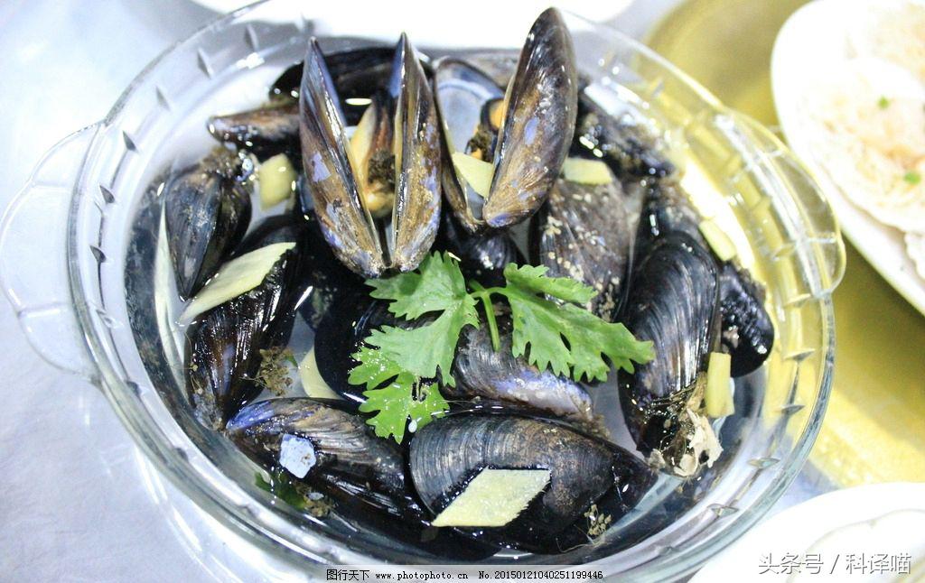 胆小的别进！青岛的海虫子，能够入药能够吃，鲍鱼也在内！