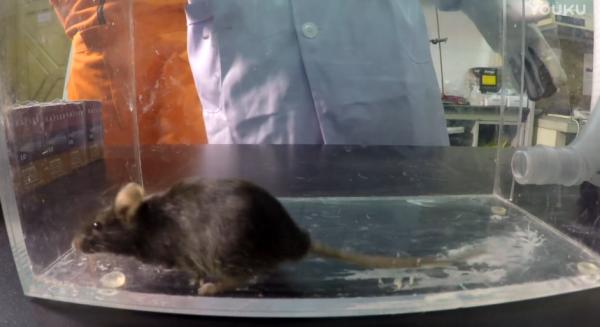 吸入笑气气体有什么危害,笑气的化学成分及其危害