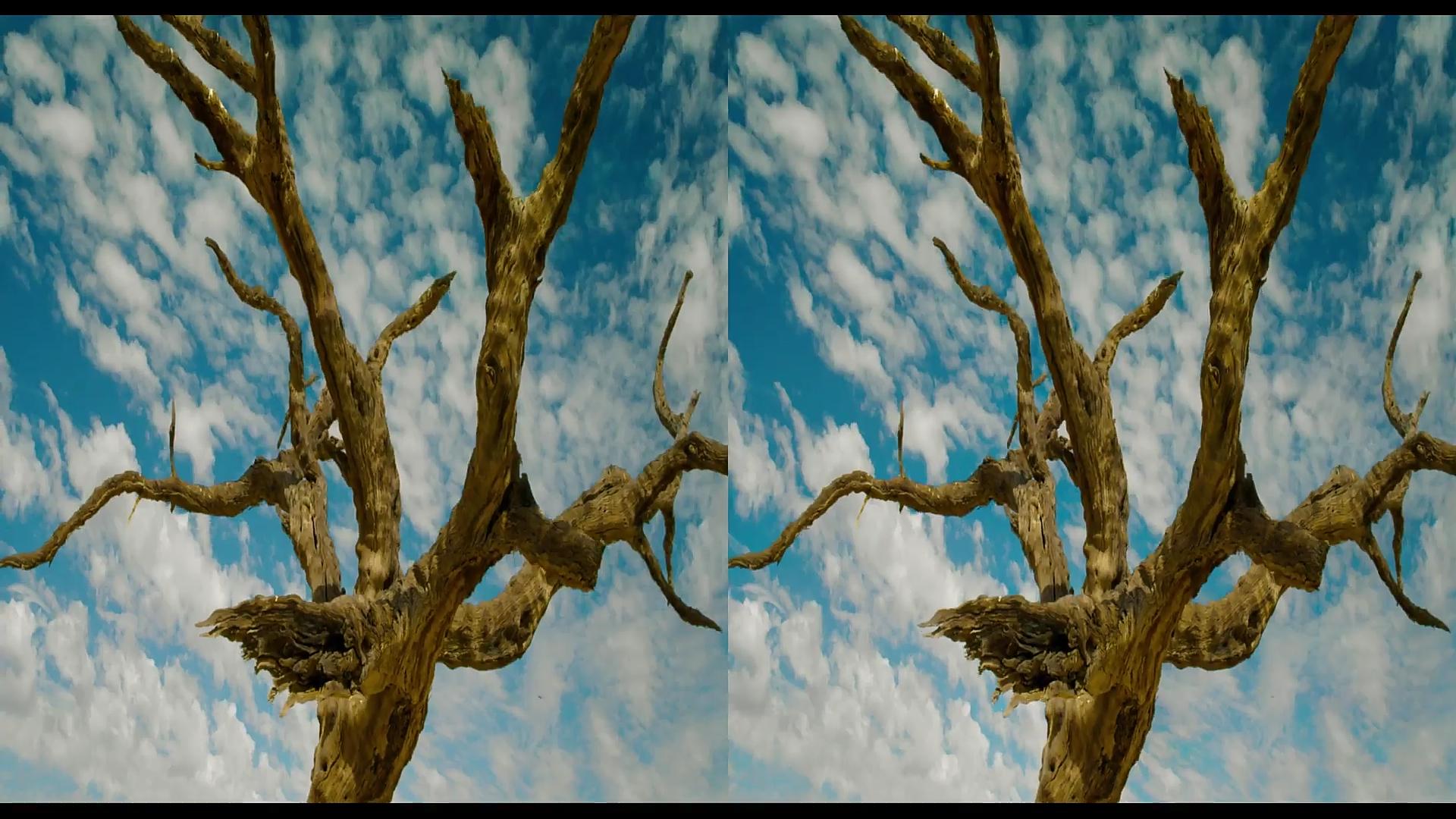 ivvik5手机,ivvi手机好用吗