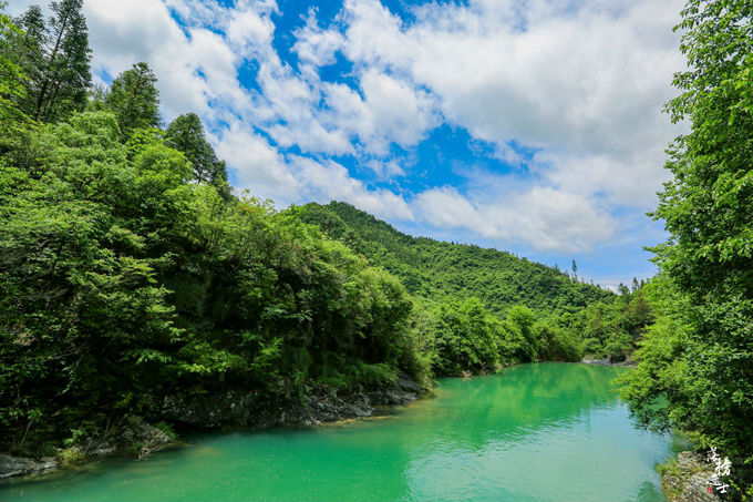 哪儿有原始森林拍照的景区,冬天合适拍照的原始森林