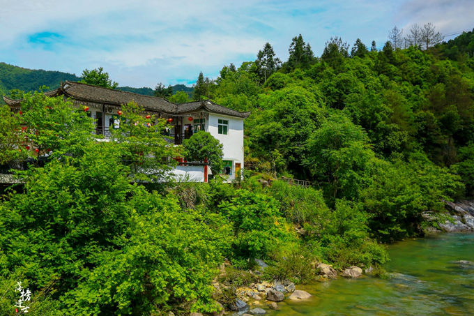 哪儿有原始森林拍照的景区,冬天合适拍照的原始森林