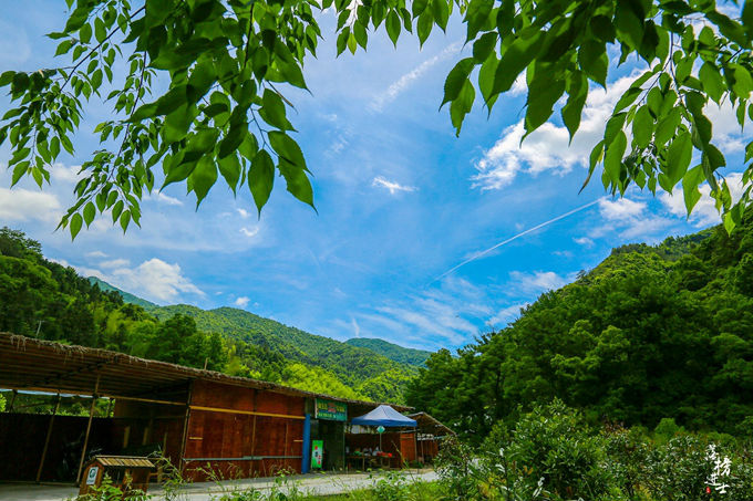 哪儿有原始森林拍照的景区,冬天合适拍照的原始森林