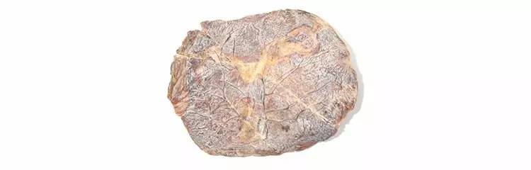 *市黑**倒卖胎盘，吃它太扯淡！一文深扒紫河车