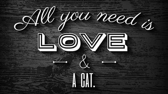 设计网站首页排版教程图,网站首页排版应该如何制作