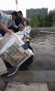 开心幽默短视频,幽默风趣时刻开心一下