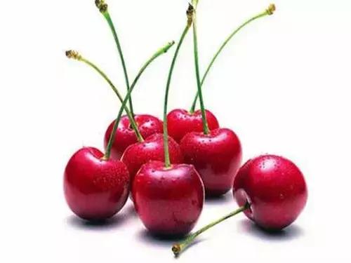 樱桃果中珍品,樱桃果又大又甜