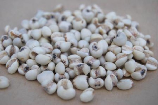 娜丽丝毛孔调理水,娜丽丝毛孔收敛水痘痘肌能用嘛