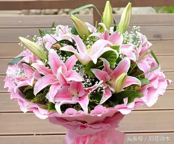 地栽百合花种球会自己繁殖吗,百合花的栽培视频