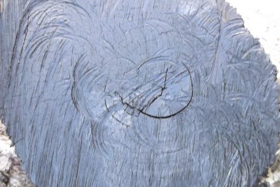 普通乌木和极品乌木的区别和价格,珍华乌木和玫瑰乌木