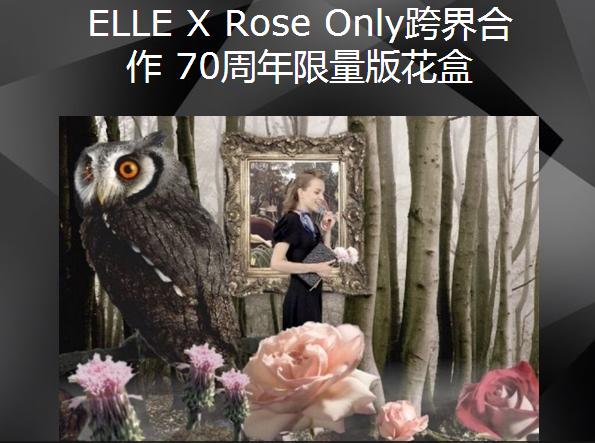 跨界花店营销技巧,中国十大花店营销策略是什么